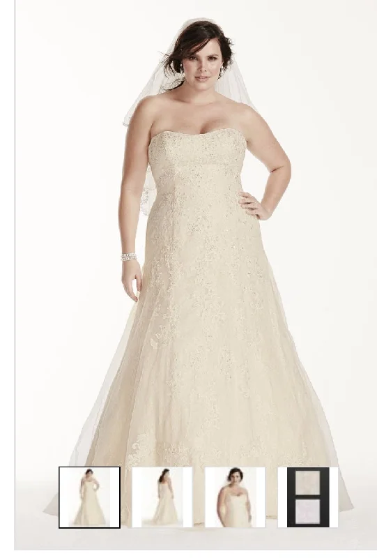 David's Bridal Jewel Lace A-Line Beaded Plus Size